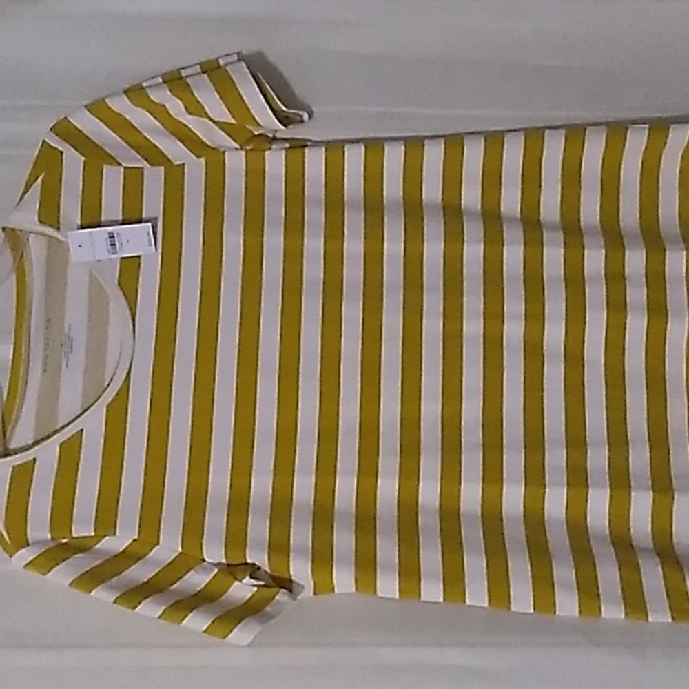 Ann Taylor Woman Gold and White Top